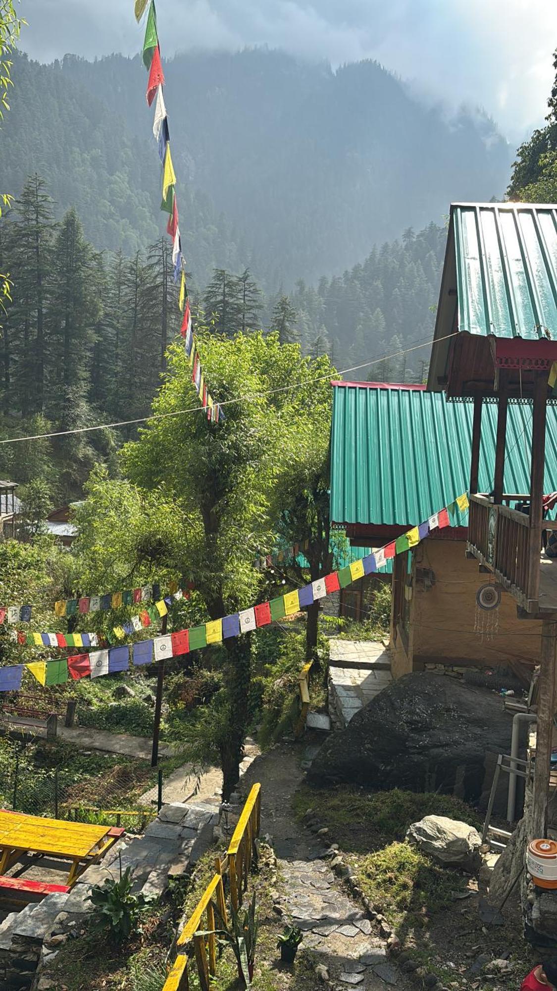 The Cozy Cabin, Jibhi Banjār Exterior photo